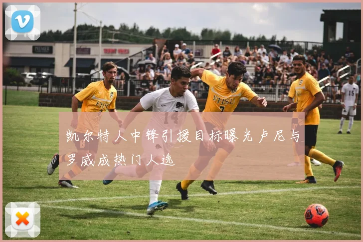 凯尔特人中锋引援目标曝光卢尼与罗威成热门人选